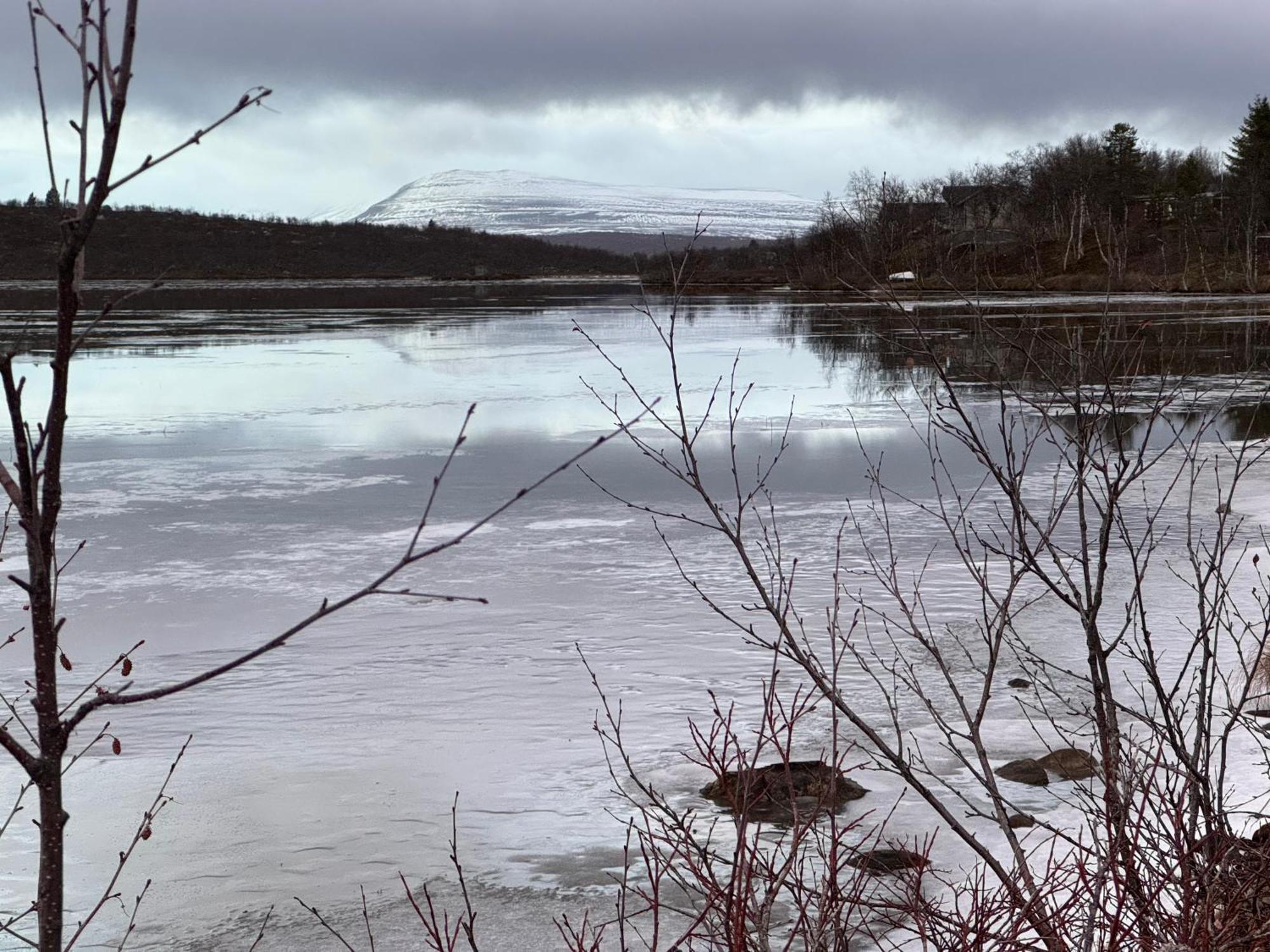 Cottage Lavkavann Finnmarksvidda Skoganvarre 외부 사진