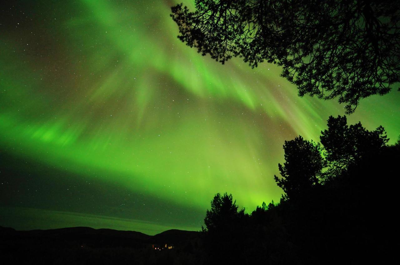 Cottage Lavkavann Finnmarksvidda Skoganvarre 외부 사진