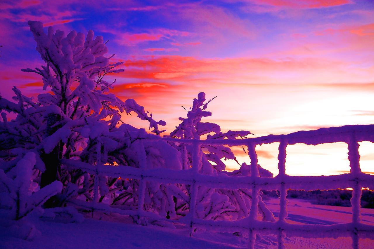 Cottage Lavkavann Finnmarksvidda Skoganvarre 외부 사진
